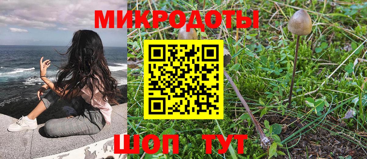 Топки  Галлюциногенные грибы Psilocybine cubensis  Вход с VPN  Псилоцибиновые грибы мухоморы 