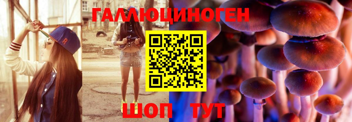Псилоцибиновые грибы Psilocybine cubensis Топки